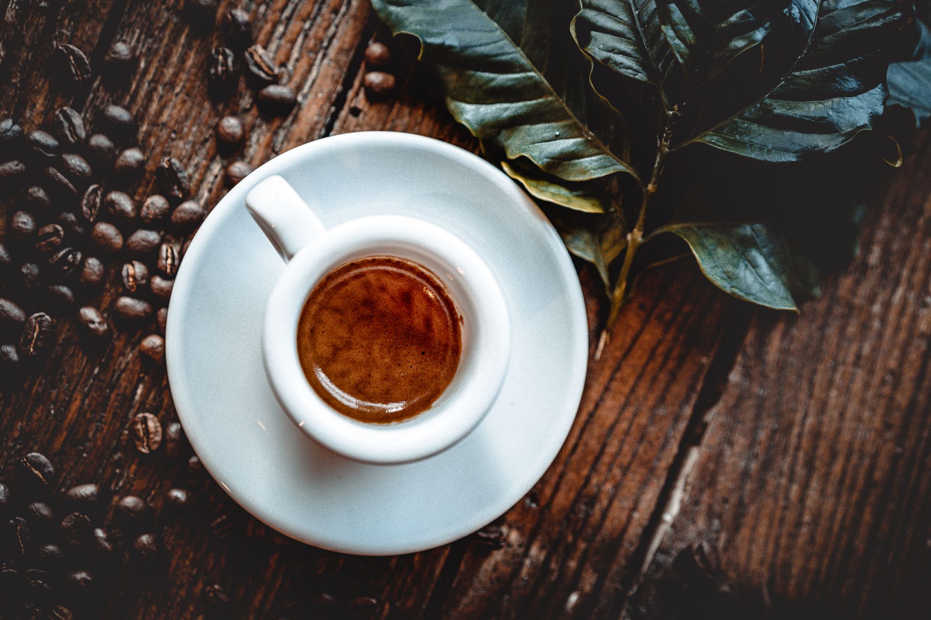 Bonafede Kaffeerösterei